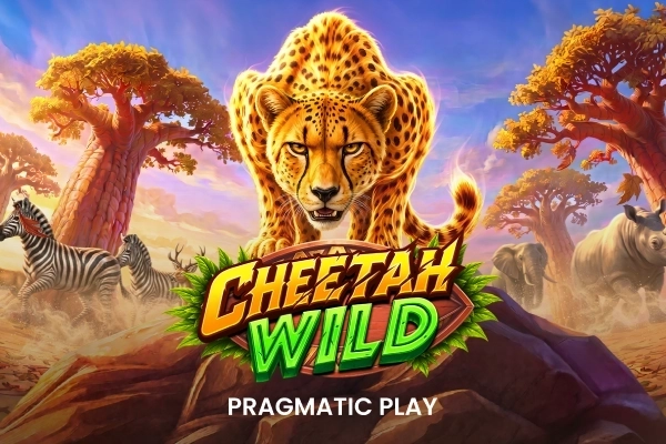Cheetah Wild